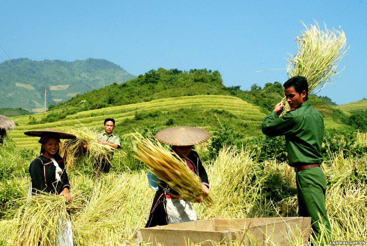 Vẻ đẹp của con người Lai Châu trong lao động sản xuất