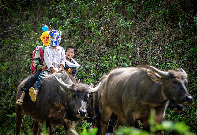 Hồn nhiên trẻ em vùng cao Lào Cai