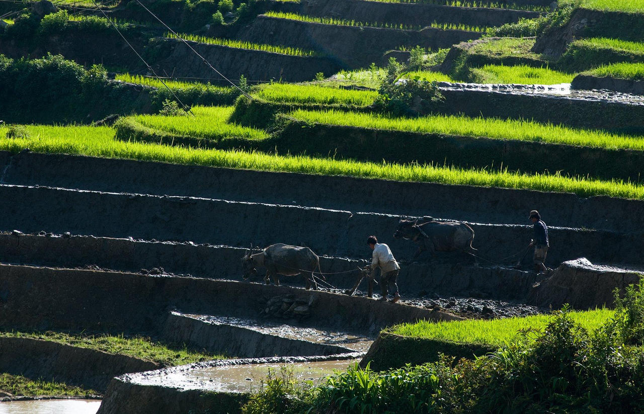 Nét đẹp Tây Bắc vào mùa nước đổ