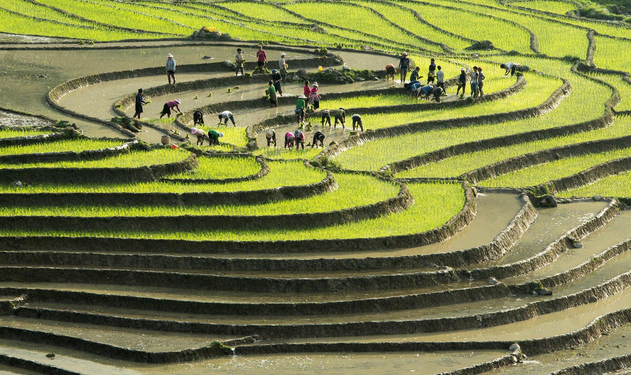 Nét đẹp Tây Bắc vào mùa nước đổ