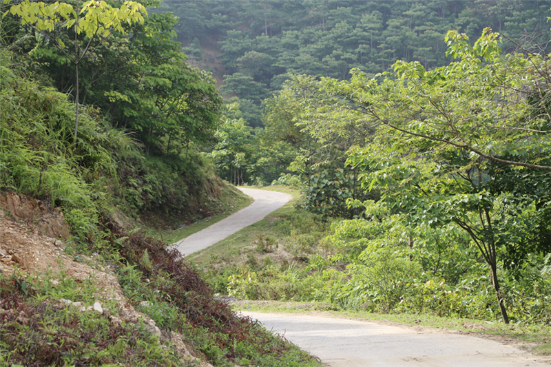 Xã vùng cao Lào Cai nỗ lực thoát nghèo 