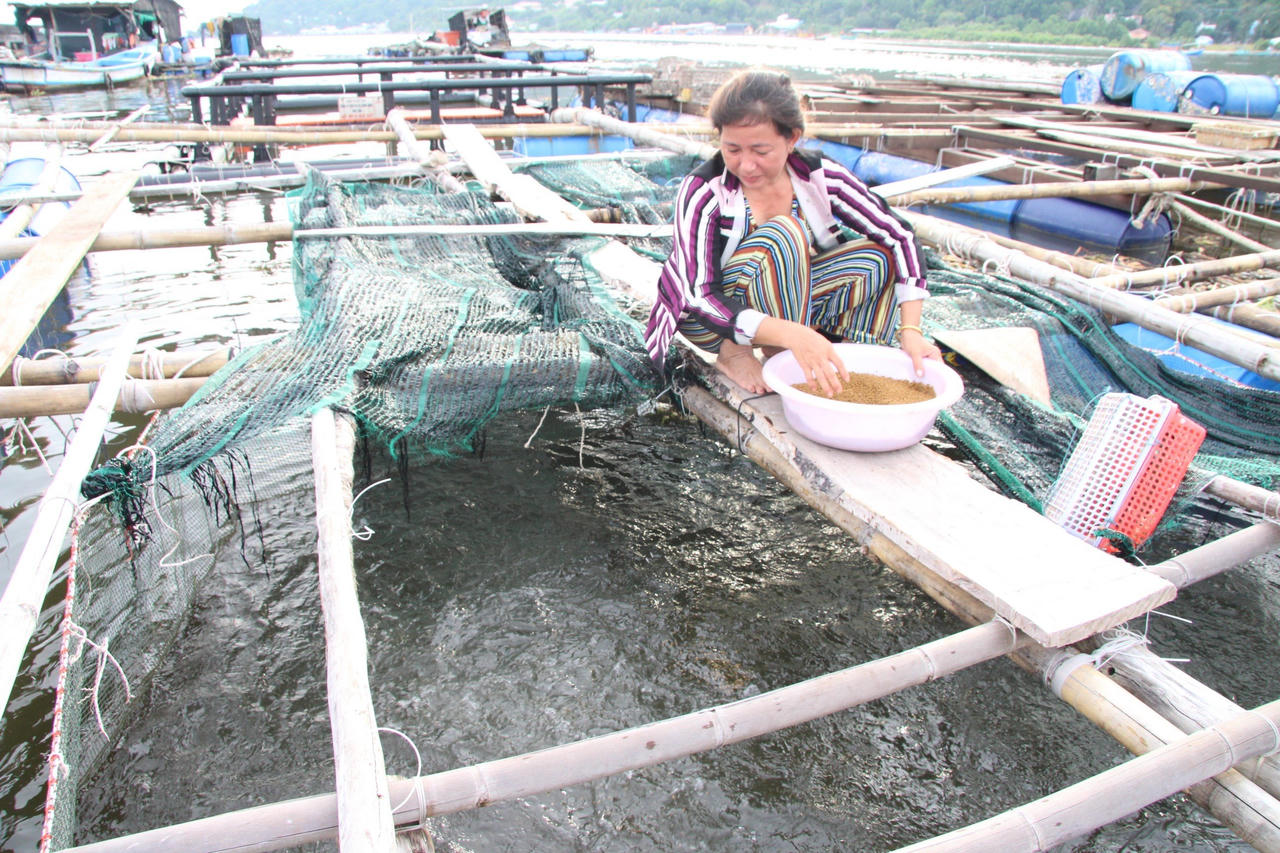 Kiên Hải vươn mình phát triển bền vững