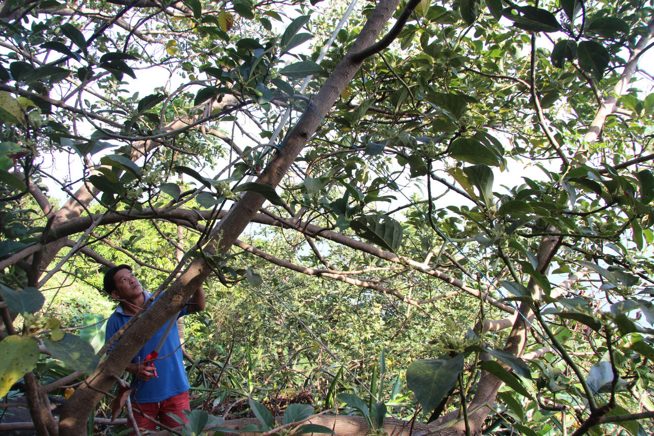 Kiên Hải vươn mình phát triển bền vững