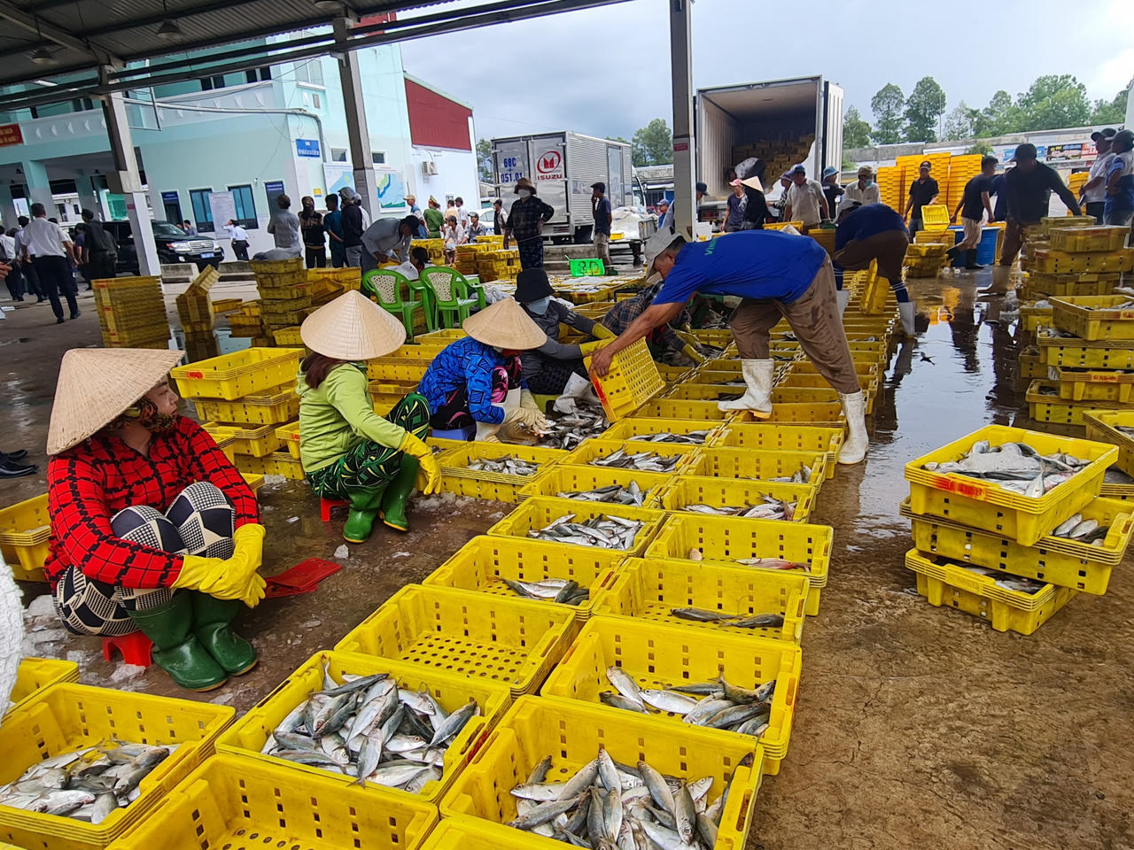 Kiên Giang lập tổ công tác đặc biệt hỗ trợ doanh nghiệp tháo gỡ khó khăn