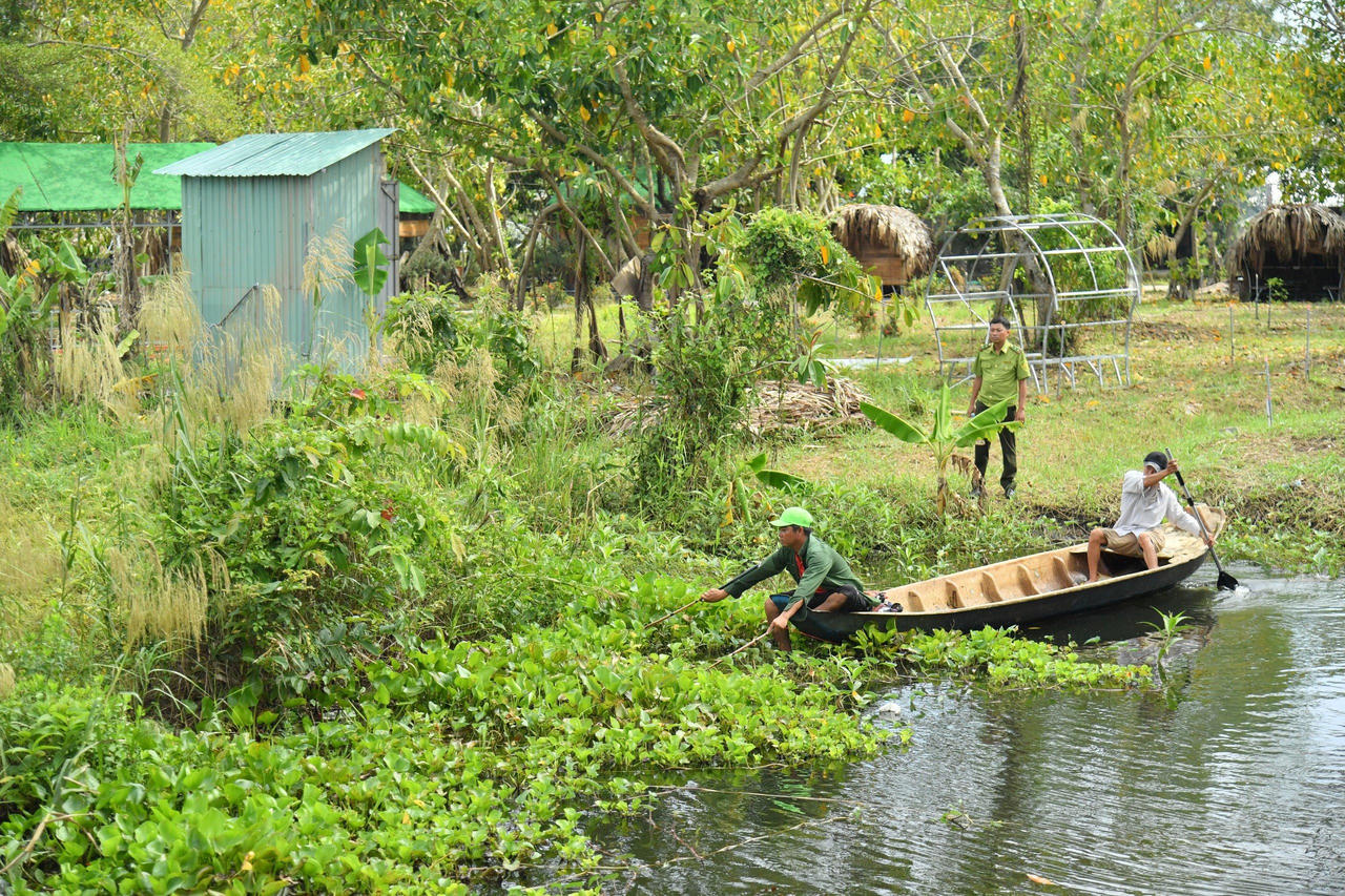 Có bao nhiêu con cá sấu sổng chuồng khỏi hồ nước Công viên ở Kiên Giang?