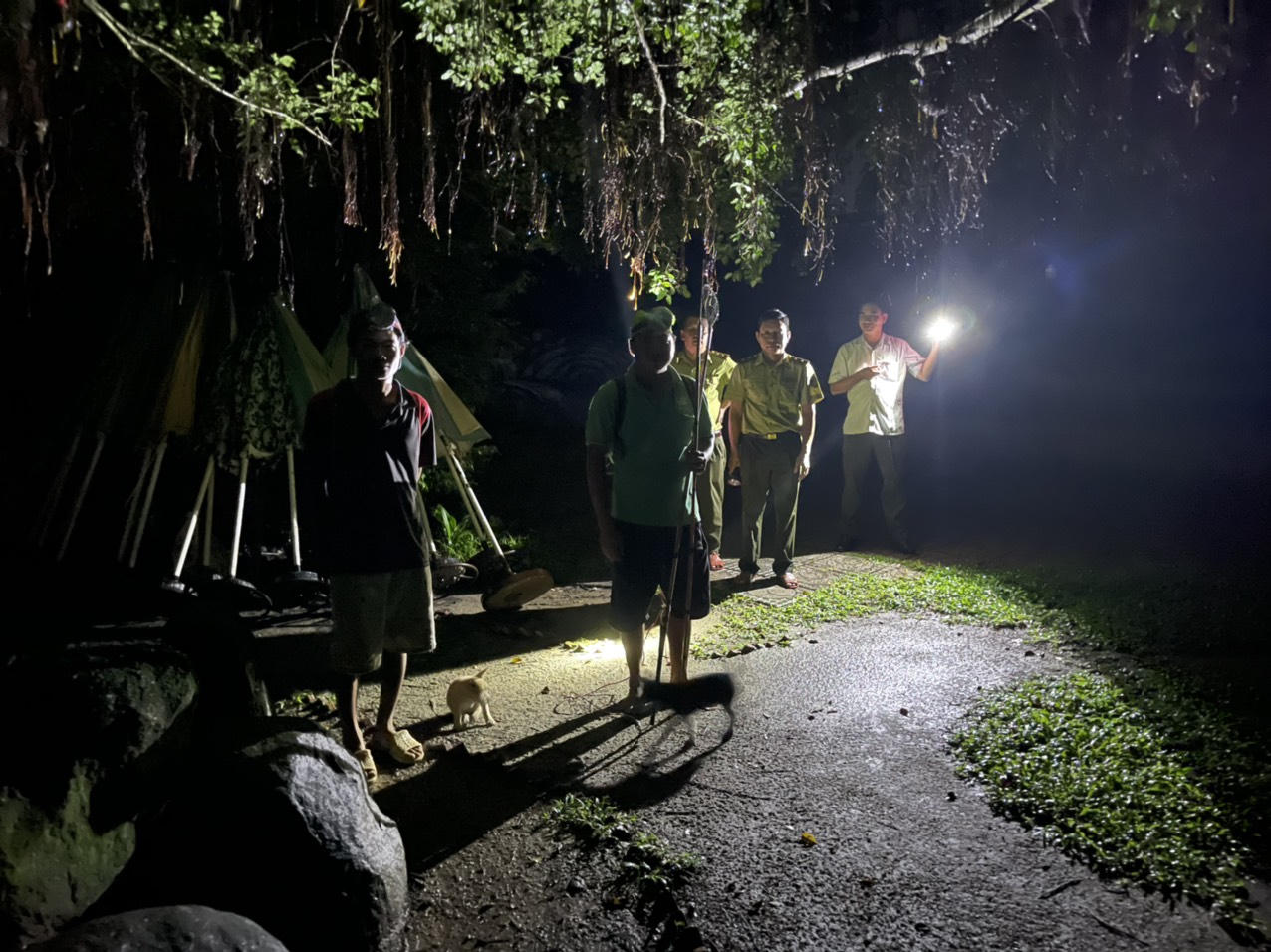 Có bao nhiêu con cá sấu sổng chuồng khỏi hồ nước Công viên ở Kiên Giang?