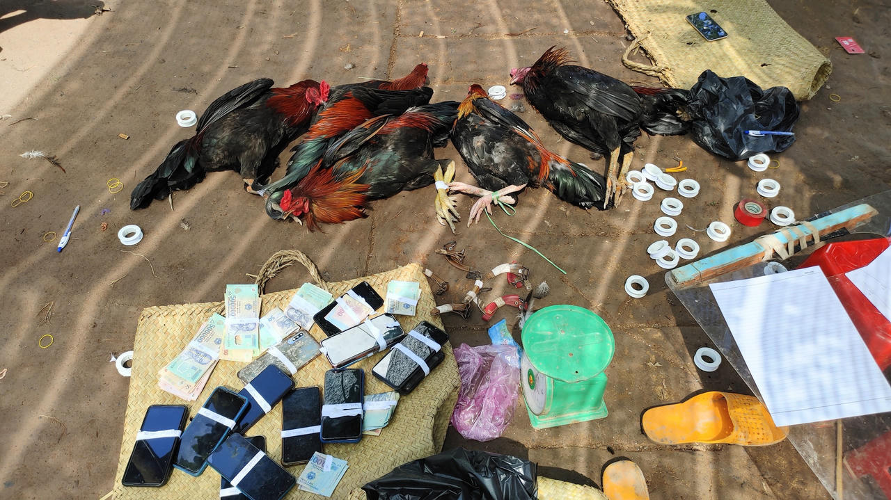 Triệt xóa tụ điểm đánh bạc bên trong vườn xoài