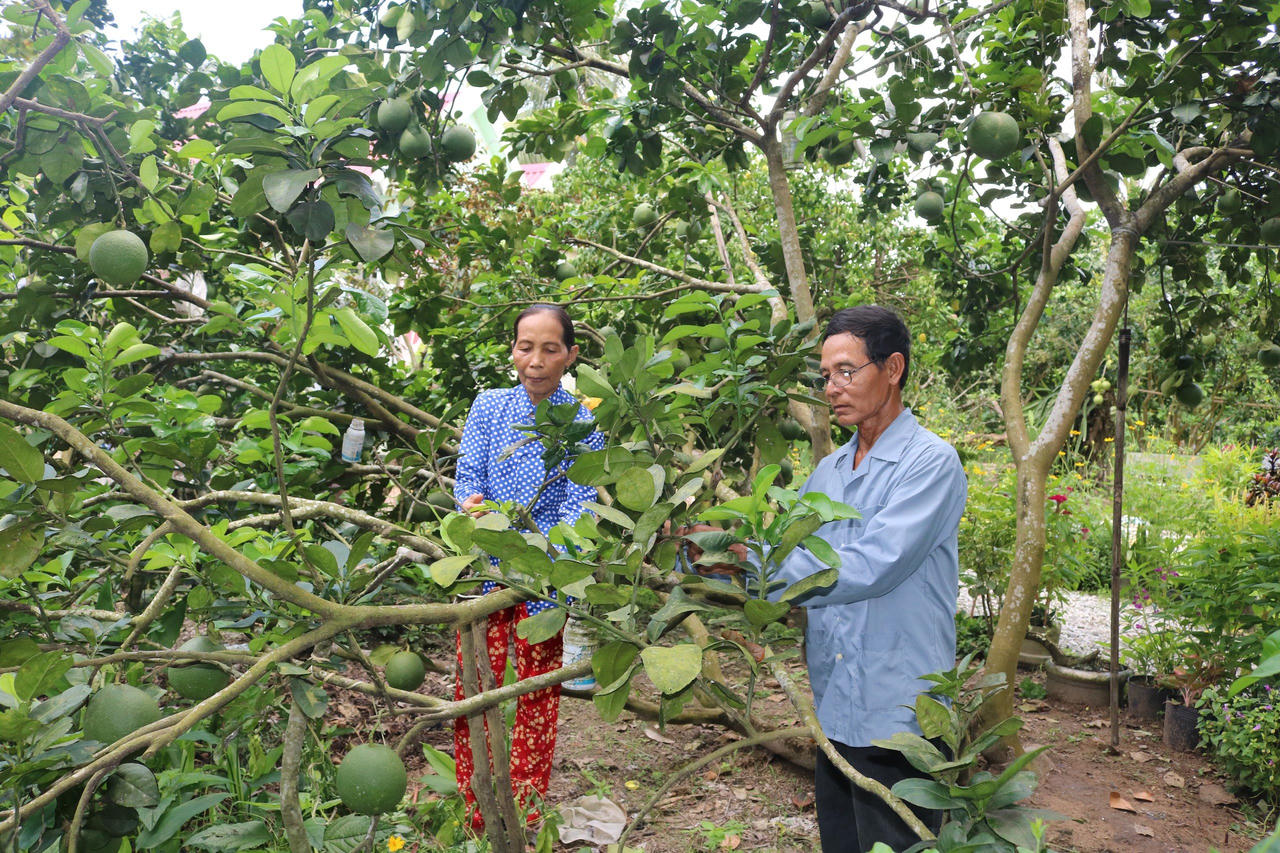 Kiên Giang: Nhiều kết quả khả quan từ Chính sách phát triển kinh tế - xã hội vùng đồng bào dân tộc thiểu số 