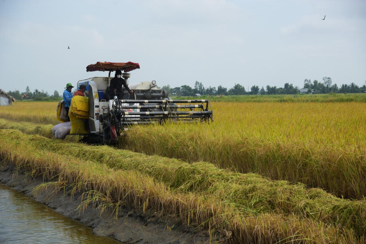 Vĩnh Thuận vượt khó chăm lo đời sống cho người dân