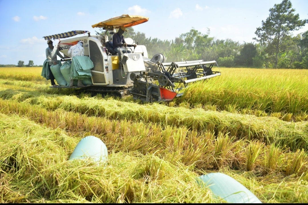 Điểm sáng phát triển kinh tế - xã hội ở Giồng Riềng