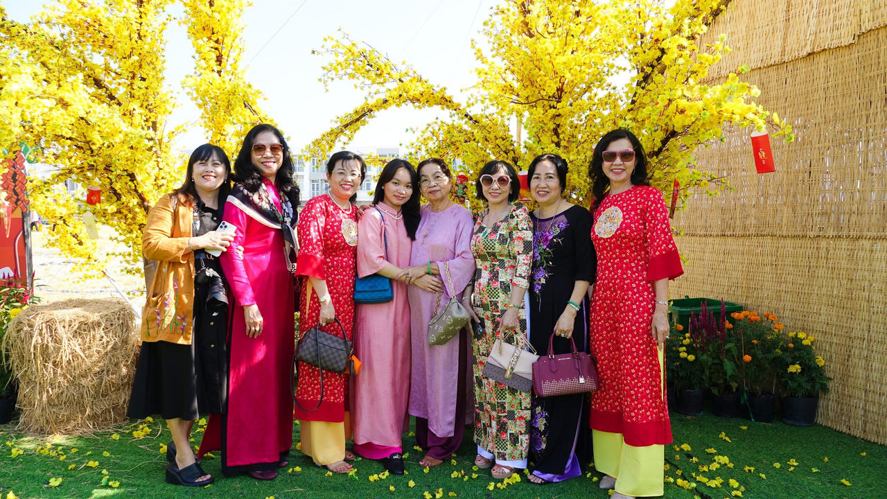 Đường mai hình bản đồ Việt Nam, điểm 'check-in' độc đáo cho du khách