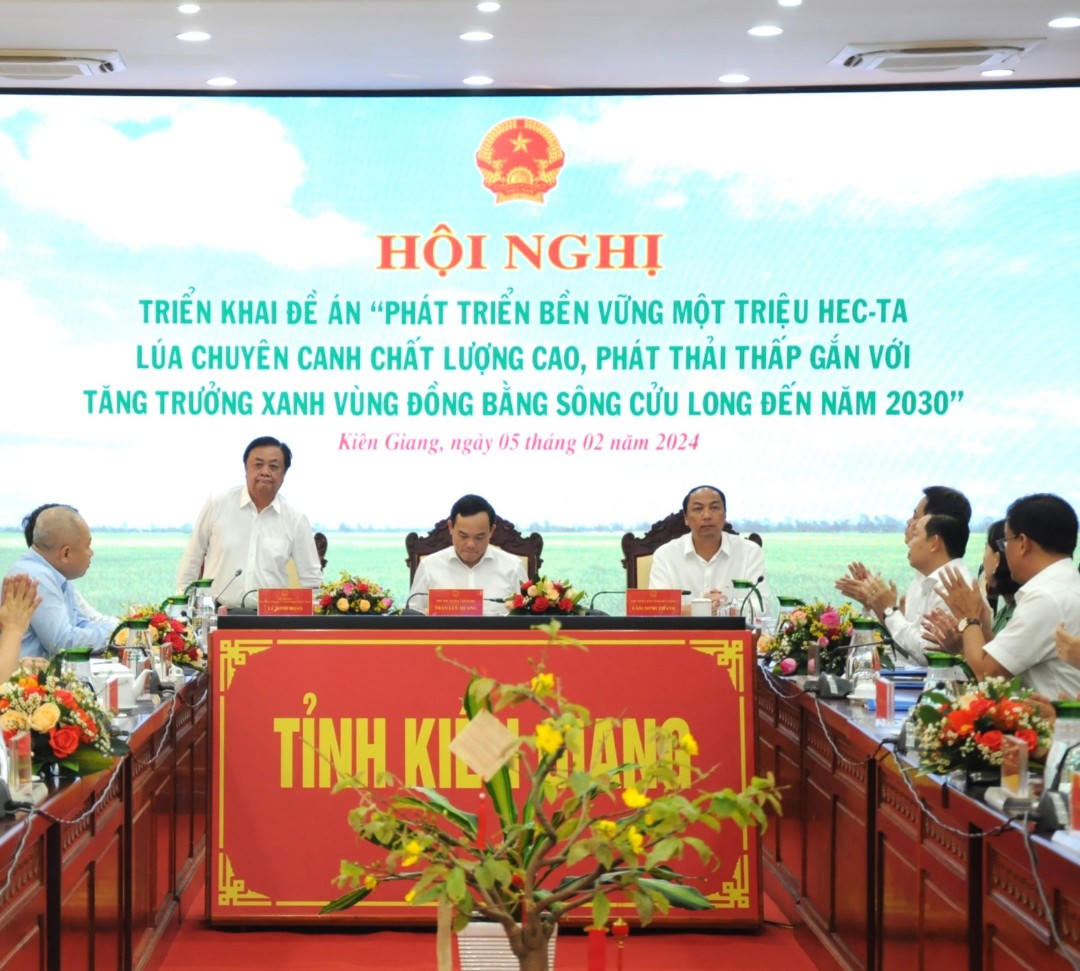 Triển khai Đề án 1 triệu hecta lúa chuyên canh chất lượng cao ở ĐBSCL