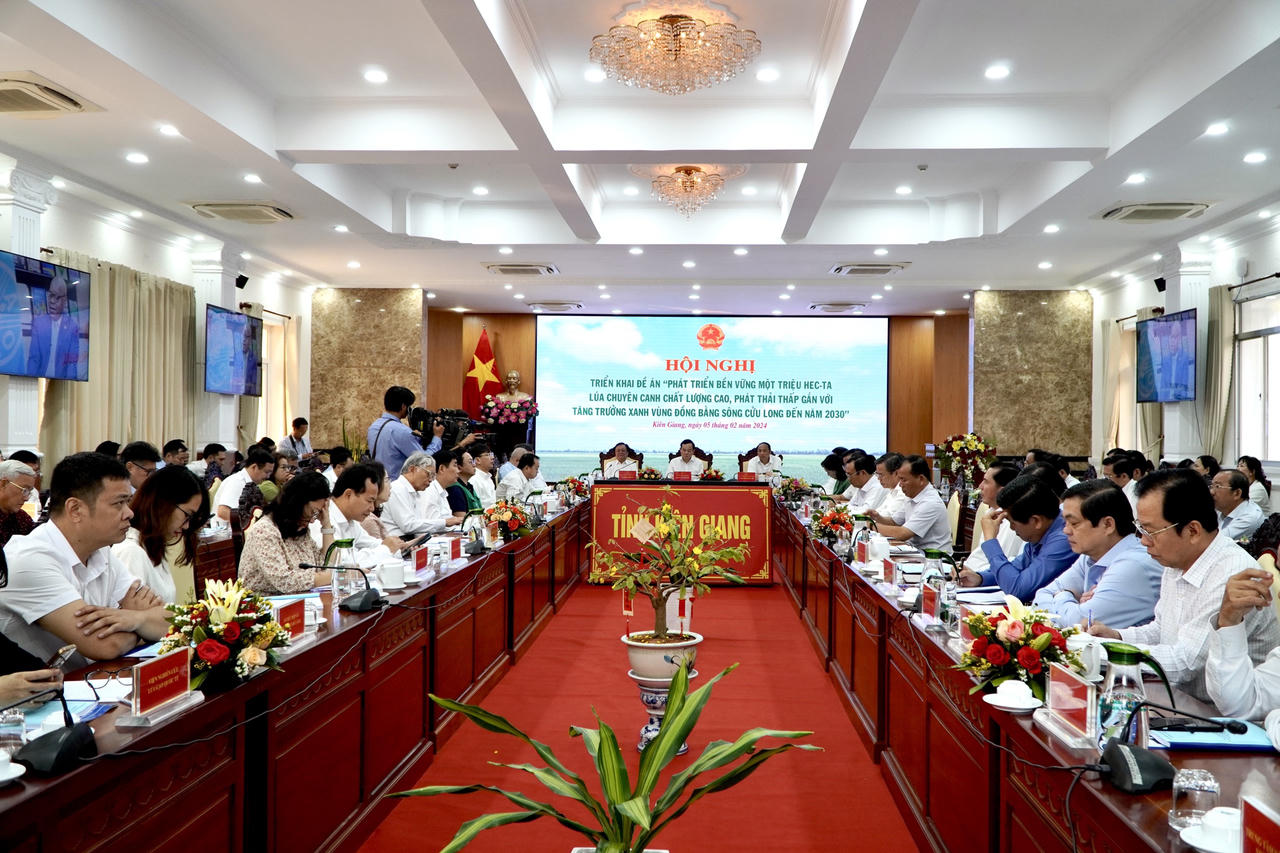 Triển khai Đề án 1 triệu hecta lúa chuyên canh chất lượng cao ở ĐBSCL