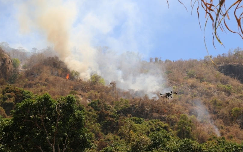 Hơn 500 người chung sức cứu 2 cánh rừng bị cháy ở An Giang