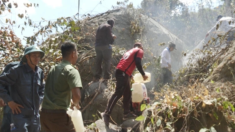 Hơn 500 người chung sức cứu 2 cánh rừng bị cháy ở An Giang