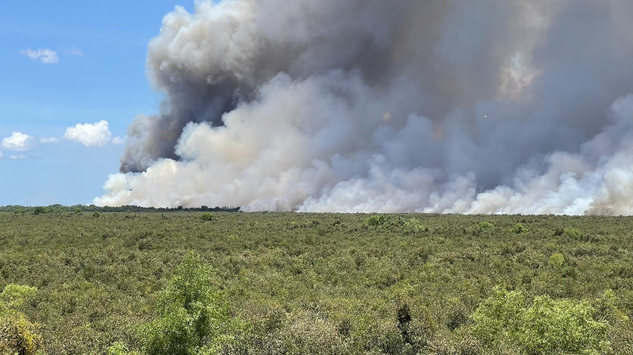Cháy rừng tràm ở huyện Giang Thành: Chủ tịch tỉnh Kiên Giang yêu cầu tăng cường PCCC rừng