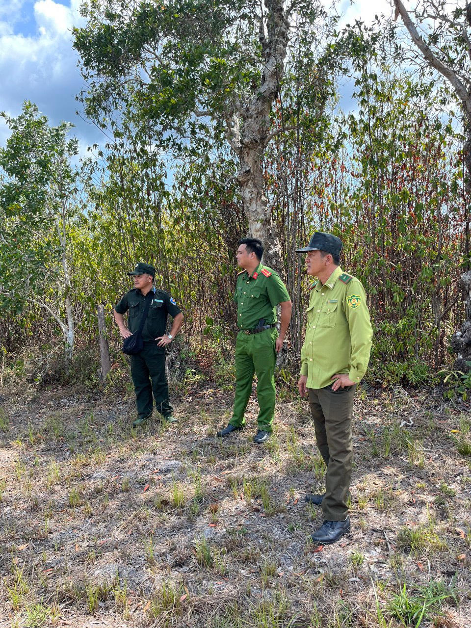 Phú Quốc lên phương án đề phòng cháy rừng khi nắng nóng kéo dài