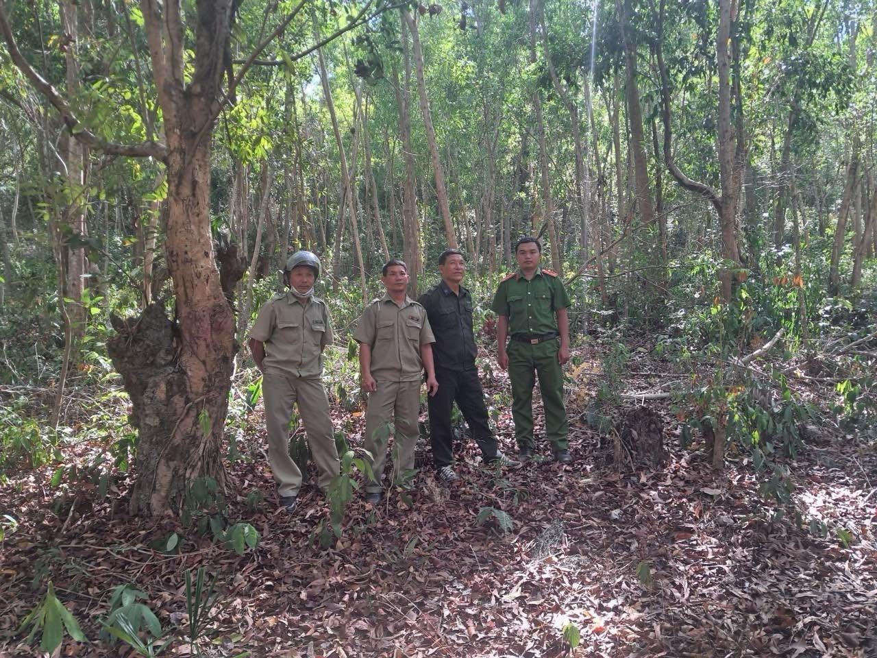 Phú Quốc lên phương án đề phòng cháy rừng khi nắng nóng kéo dài