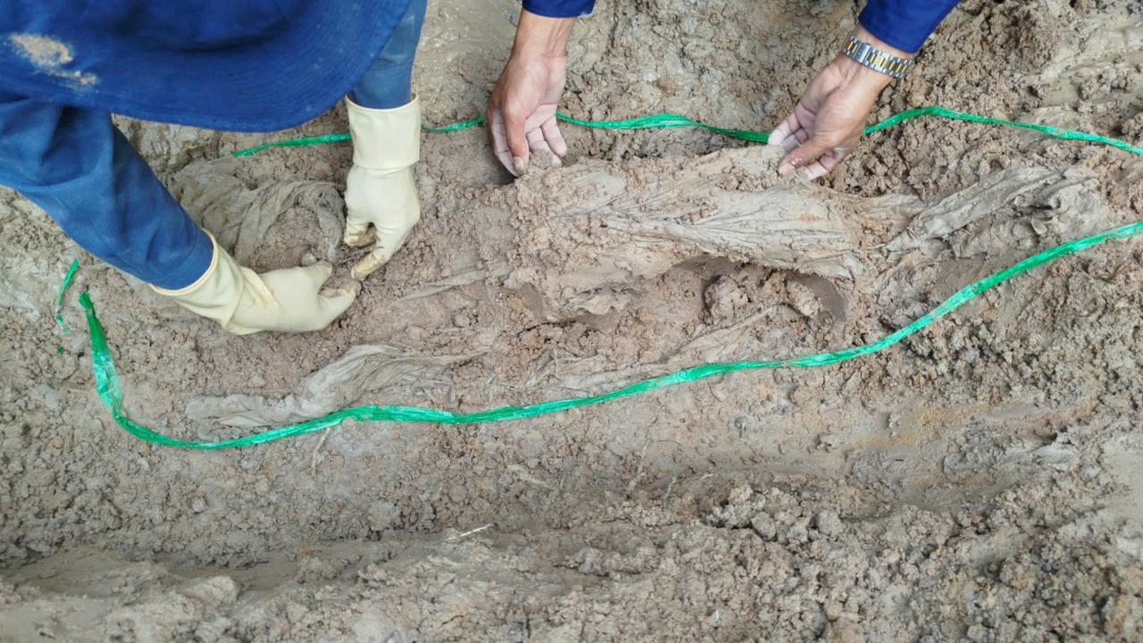 Cất bốc 19 hài cốt liệt sĩ tại huyện Kiên Lương, tỉnh Kiên Giang