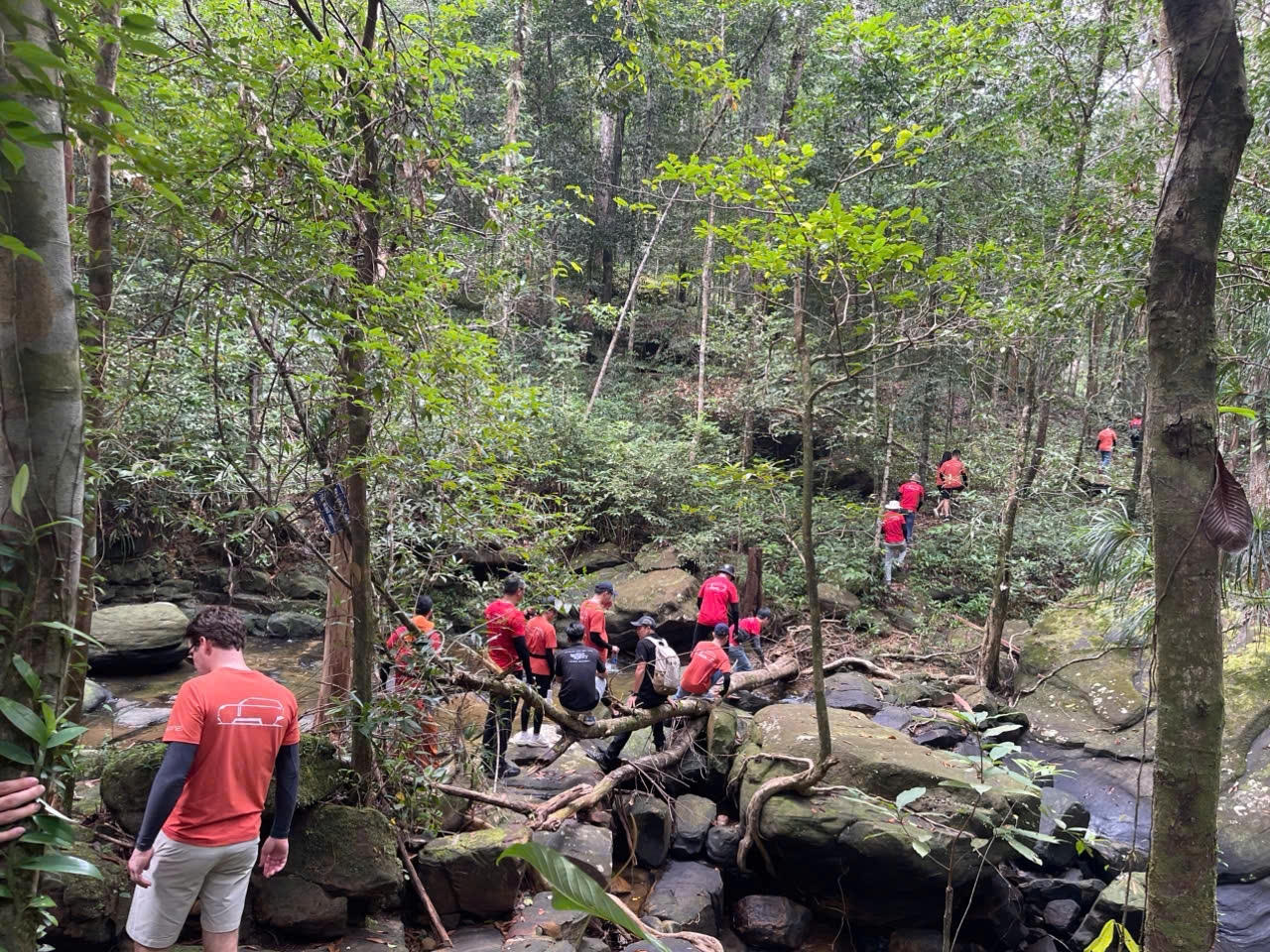  Nỗ lực bảo vệ và phát triển môi trường sinh thái Vườn quốc gia Phú Quốc