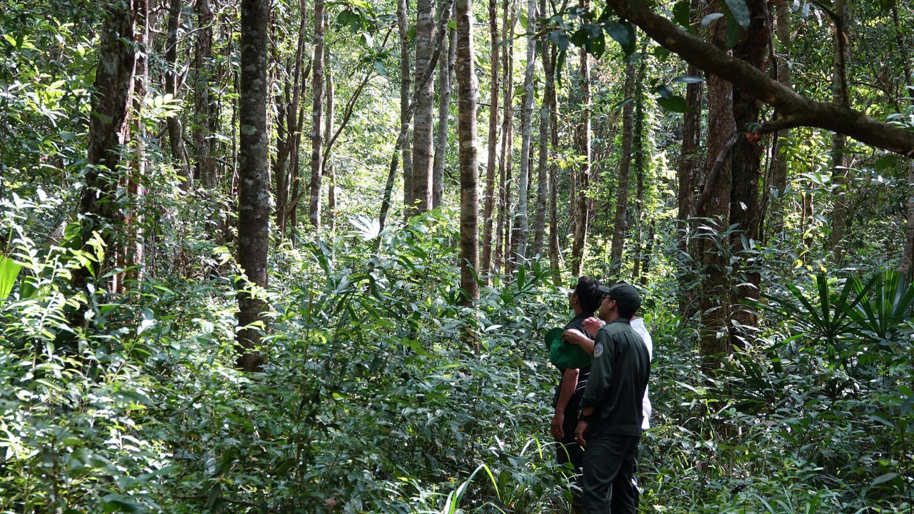  Nỗ lực bảo vệ và phát triển môi trường sinh thái Vườn quốc gia Phú Quốc