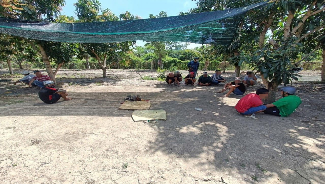 Bắt quả tang nhóm người đang "đá gà ăn tiền"