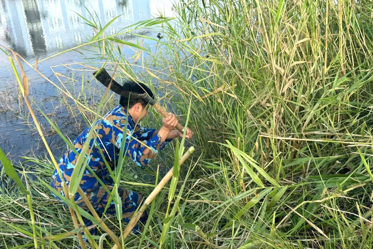 'Ngày thứ 7 tình nguyện' của vùng 5 Hải quân