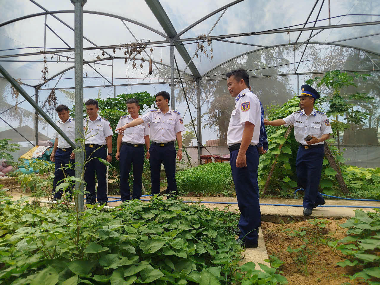 Hải đoàn 42 đẩy mạnh tăng gia sản xuất, nâng cao đời sống bộ đội