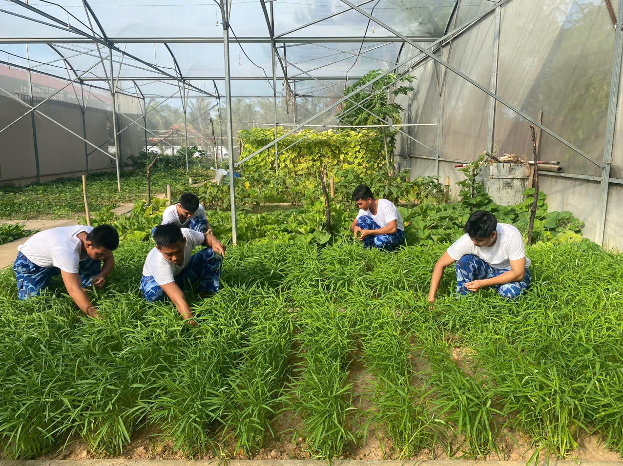 Hải đoàn 42 đẩy mạnh tăng gia sản xuất, nâng cao đời sống bộ đội