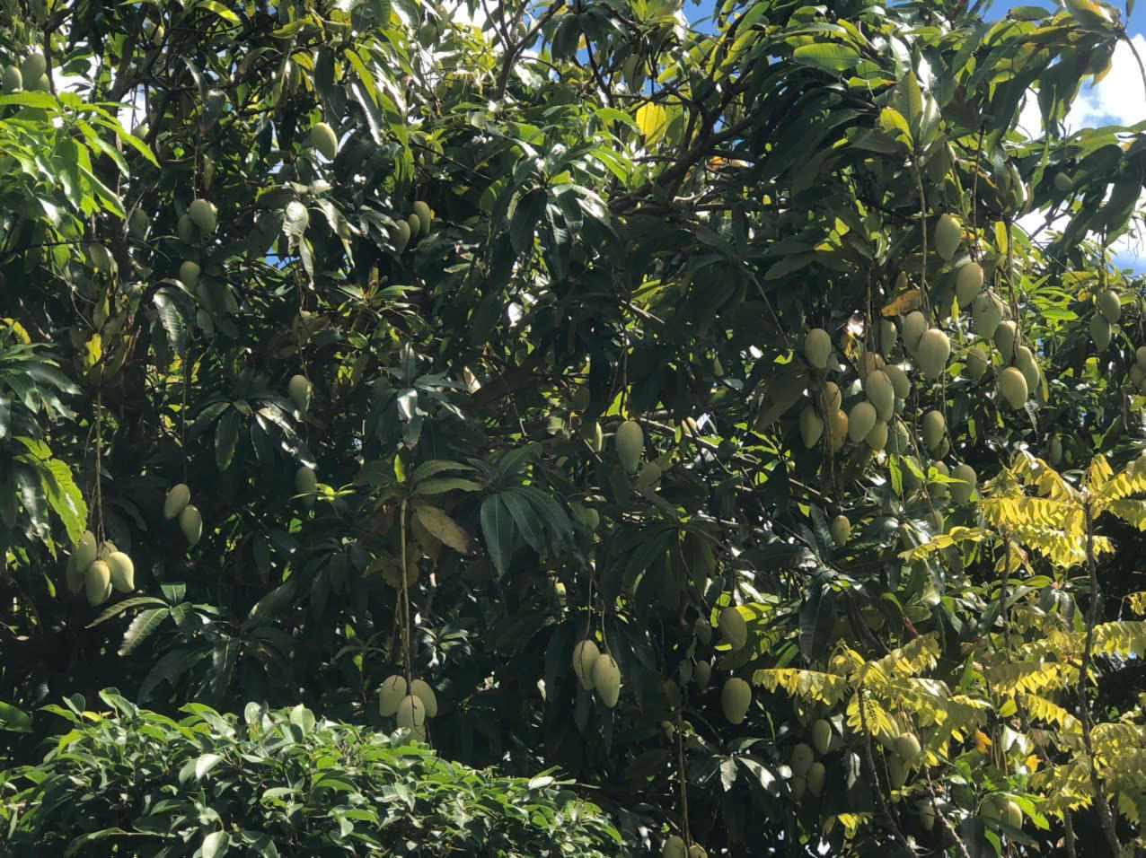 Hải đoàn 42 đẩy mạnh tăng gia sản xuất, nâng cao đời sống bộ đội