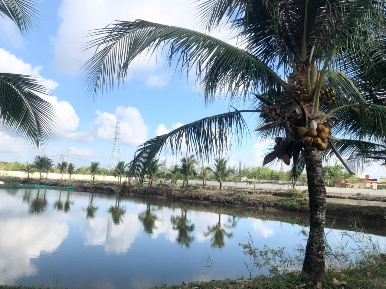 Hải đoàn 42 đẩy mạnh tăng gia sản xuất, nâng cao đời sống bộ đội