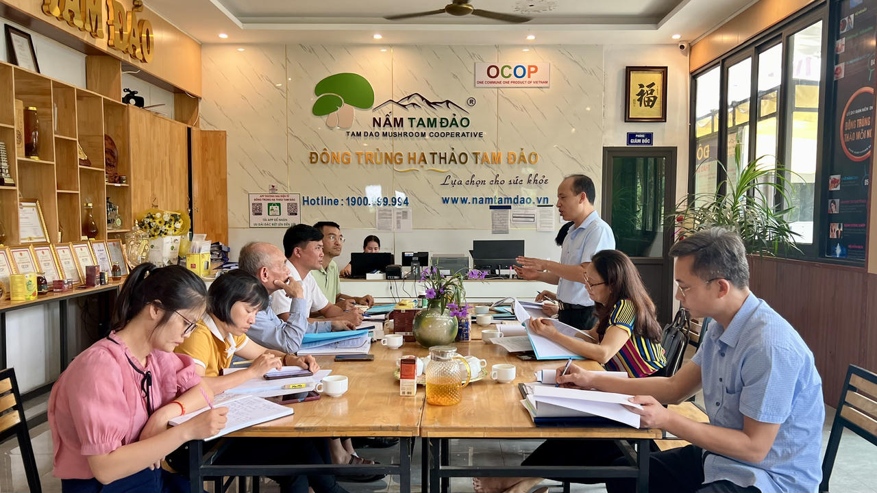 Kiểm tra tiến độ thực hiện đề tài, dự án khoa học và công nghệ cấp tỉnh ở Vĩnh Phúc