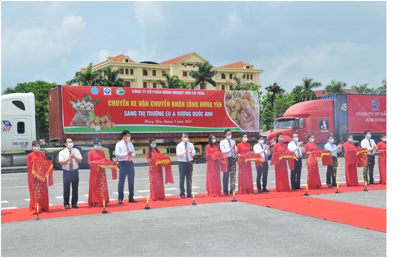 “Chắp cánh” cho nhãn lồng Hưng Yên vươn ra thị trường thế giới
