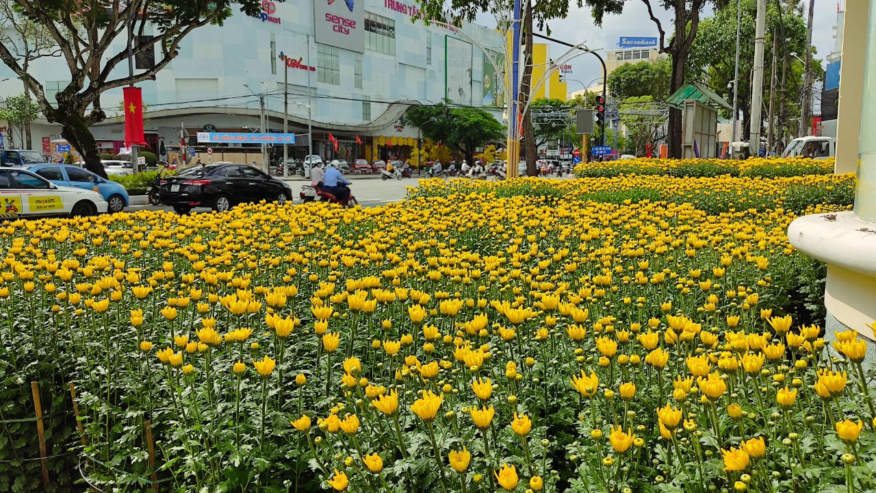 Thời tiết thất thường, chợ hoa thưa vắng người lẫn cây kiểng