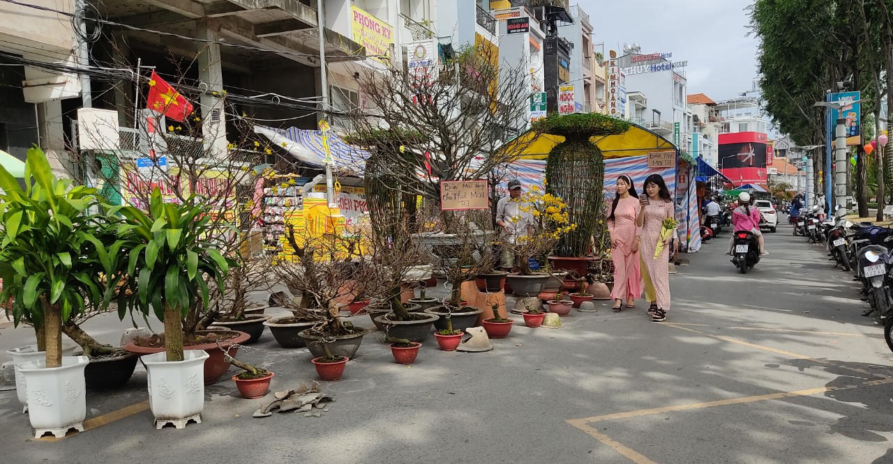 Thời tiết thất thường, chợ hoa thưa vắng người lẫn cây kiểng