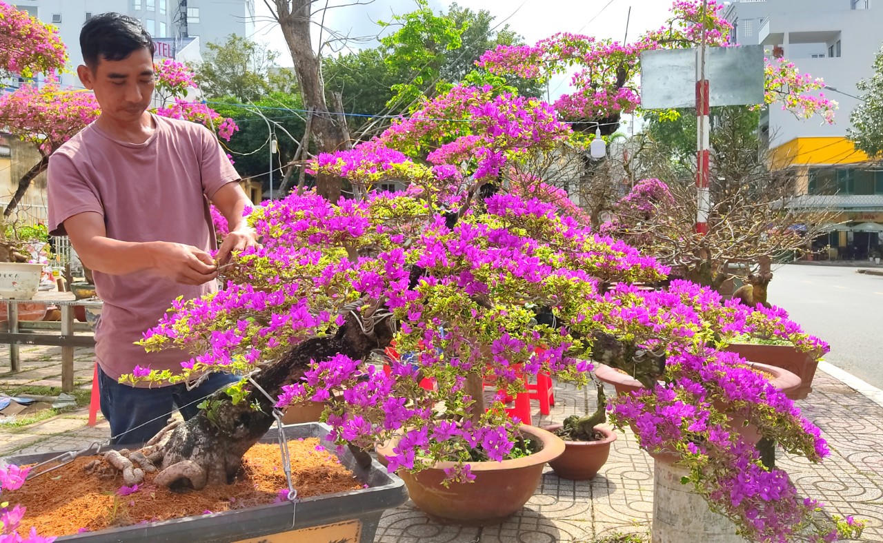 Thời tiết thất thường, chợ hoa thưa vắng người lẫn cây kiểng