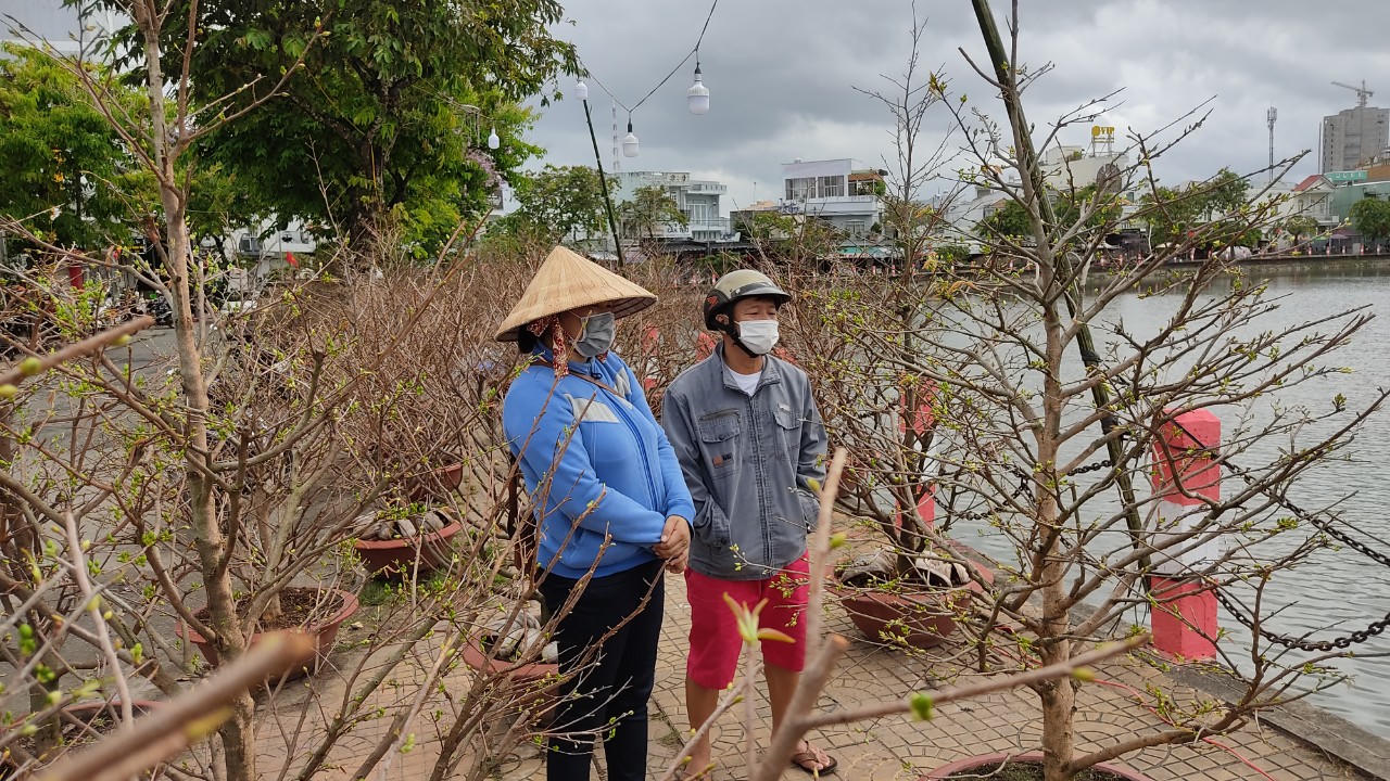 Thời tiết thất thường, chợ hoa thưa vắng người lẫn cây kiểng