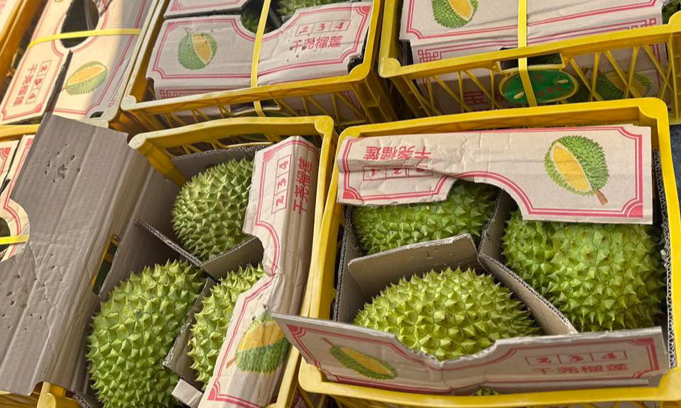 Sầu riêng Cần Thơ chính thức có mặt tại thị trường lớn Trung Quốc