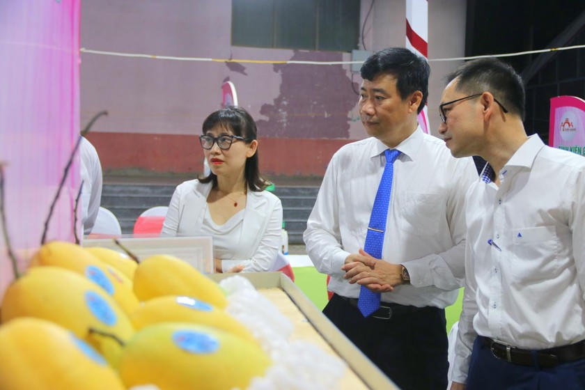 Chuẩn bị tổ chức lễ hội xoài Đồng Tháp