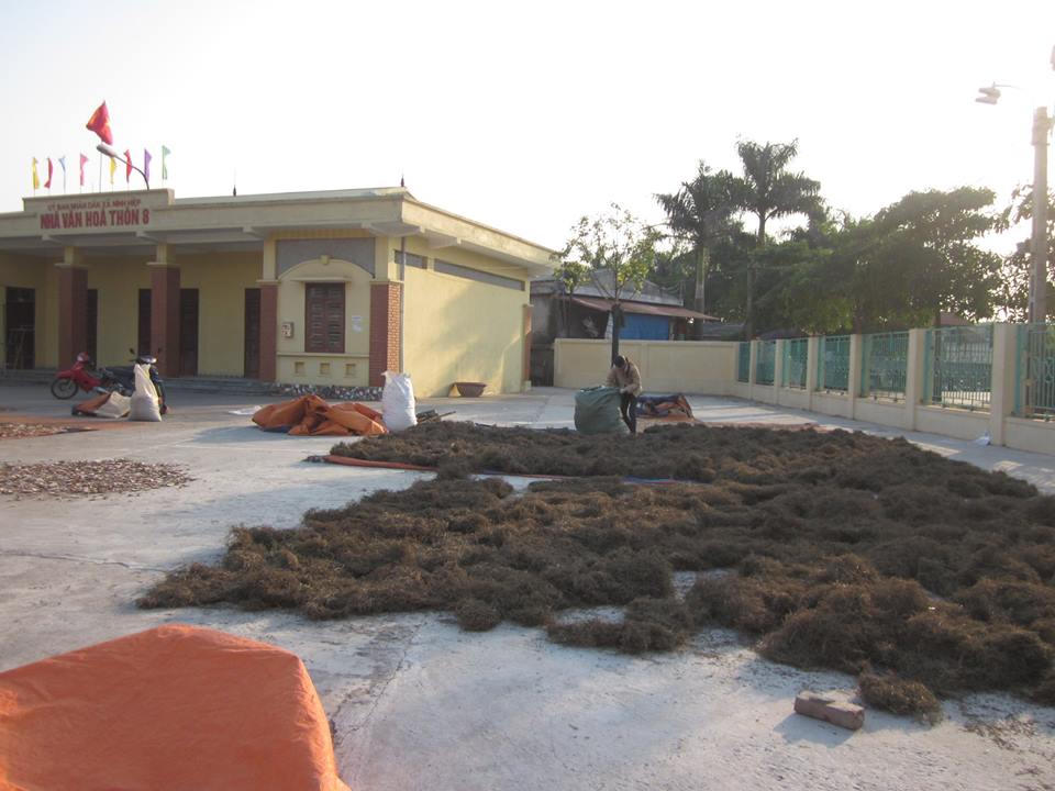 Kiếp hành nghề chui lủi của làng thuốc 1000 năm tuổi 