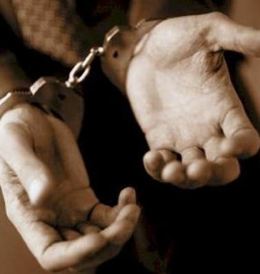 Trả giá vì thích “lấy số” bằng “chó lửa”