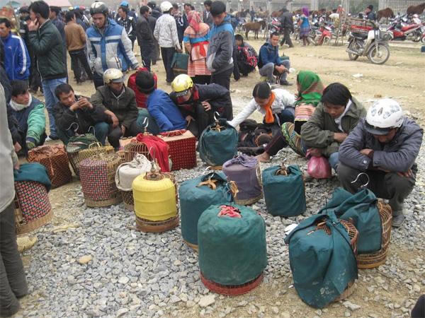 Khám phá phiên chợ chim "độc nhất vô nhị"