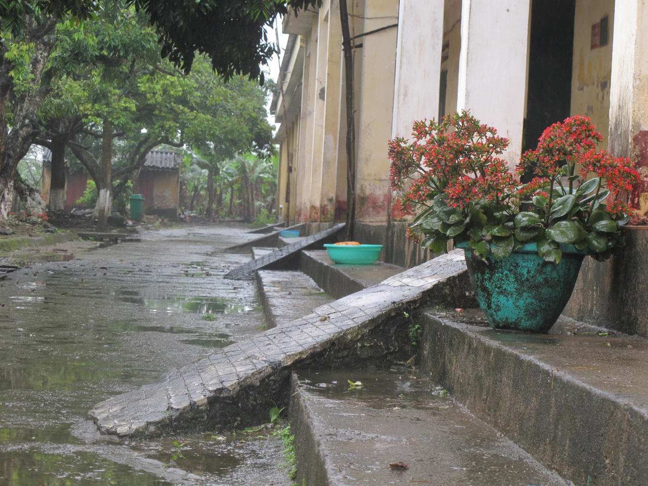 Khao khát sống ở "ốc đảo" Văn Môn