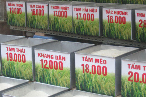 Gạo quá thơm ngon, coi chừng độc tố!