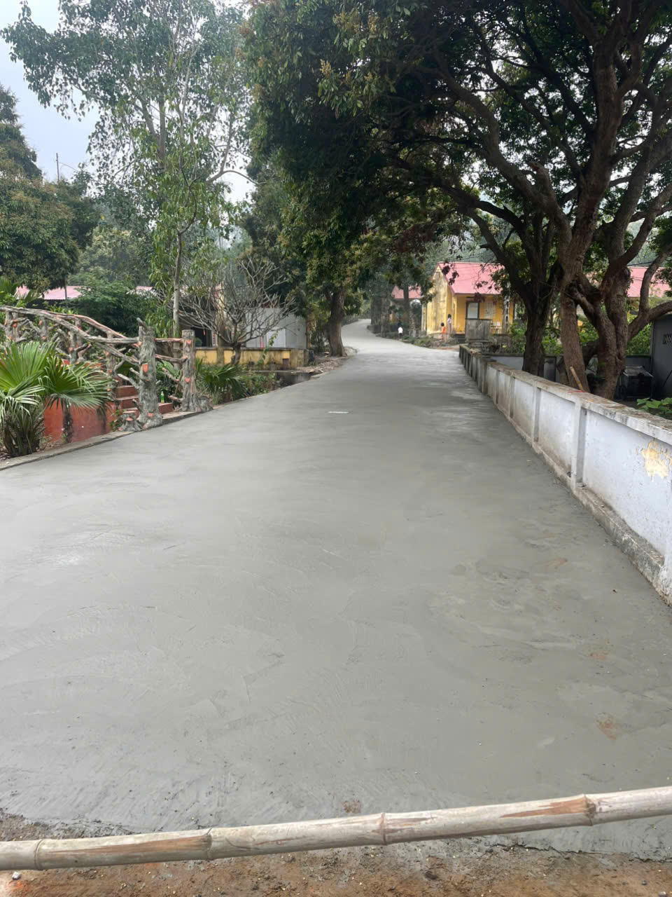 Tập đoàn Phượng Hoàng – lan tỏa những giá trị nhân văn tốt đẹp trong cộng đồng