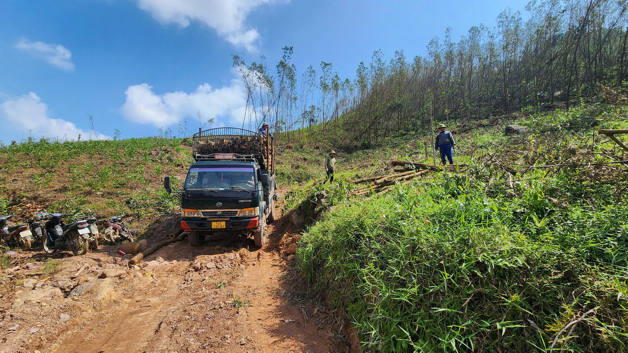 Quảng Ninh phát động đợt cao điểm thu dọn rừng bị thiệt hại do bão số 3
