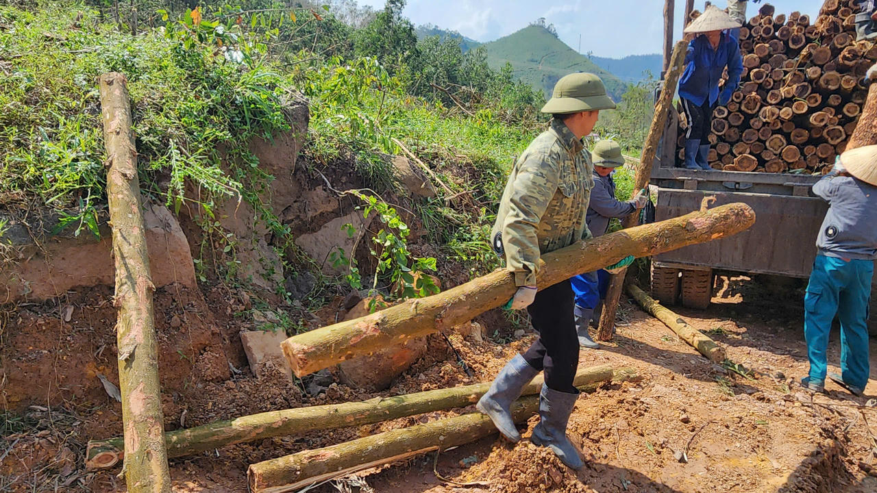 Quảng Ninh phát động đợt cao điểm thu dọn rừng bị thiệt hại do bão số 3