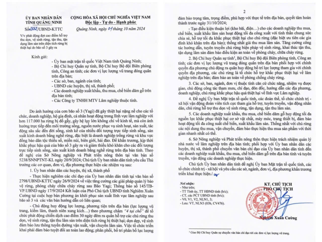 Quảng Ninh phát động đợt cao điểm thu dọn rừng bị thiệt hại do bão số 3