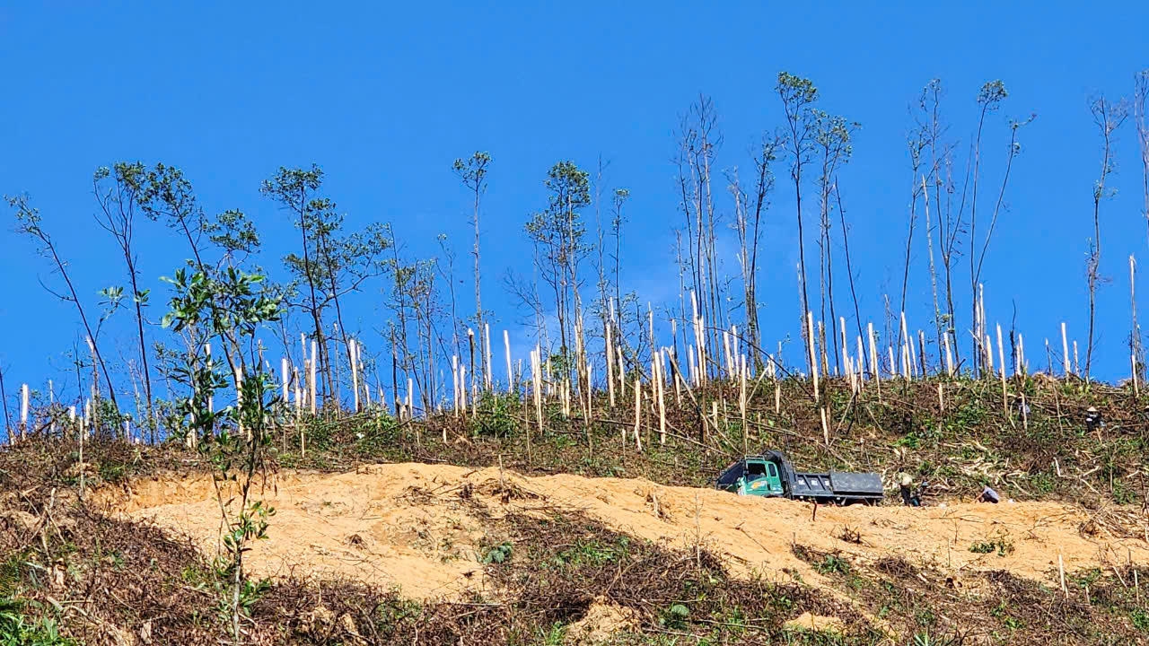 Quảng Ninh: Cần nâng cao trách nhiệm về phòng cháy chữa cháy rừng sau bão