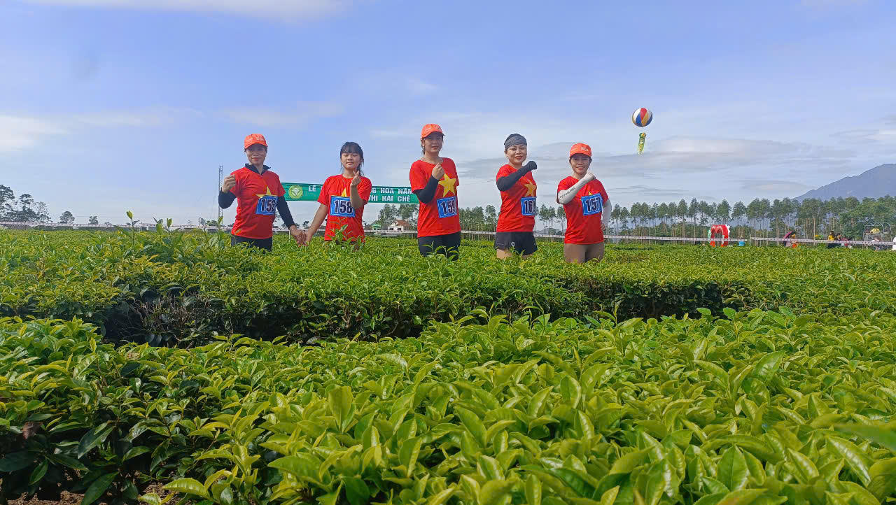 Khai mạc Lễ hội Trà Đường Hoa tại huyện Hải Hà, Quảng Ninh